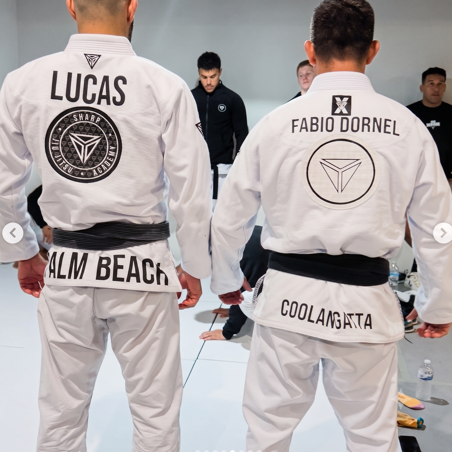 Standard Gi Vinyl
